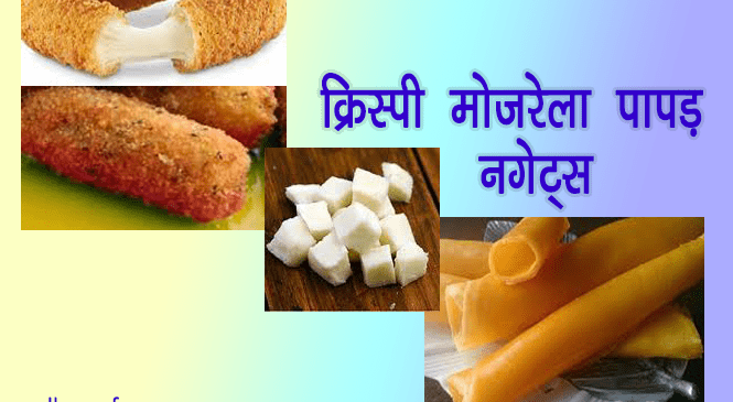 क्रिस्पी मोज़रेला पापड़ नगेट्स – mozzarella cheese recipe hindi